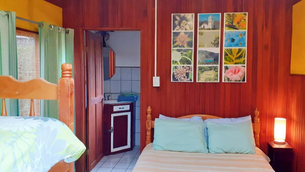 Montana Linda Guest House Orosí Eksteriør bilde