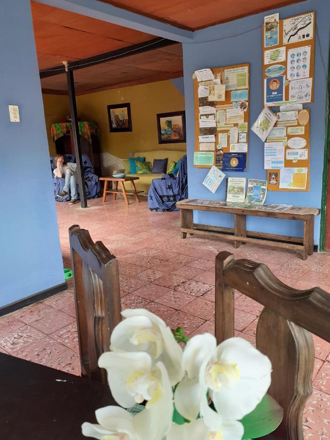 Montana Linda Guest House Orosí Eksteriør bilde