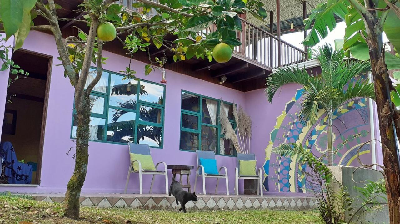 Montana Linda Guest House Orosí Eksteriør bilde