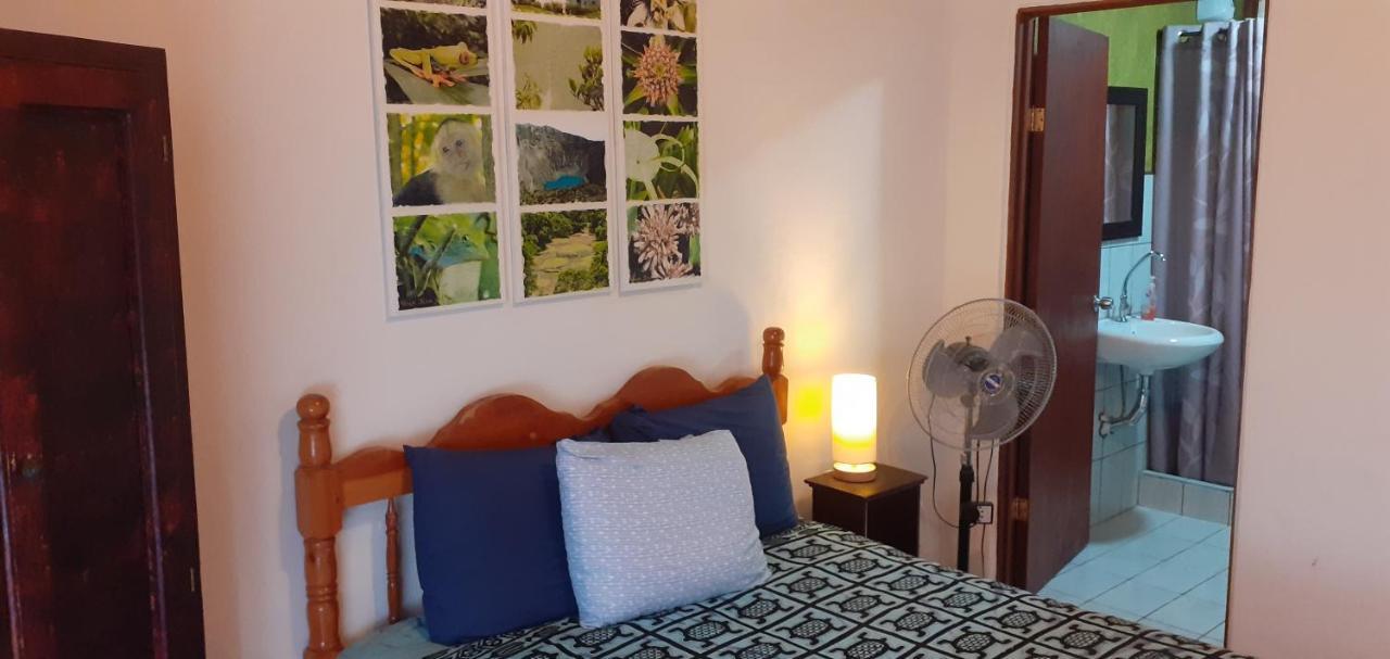 Montana Linda Guest House Orosí Eksteriør bilde